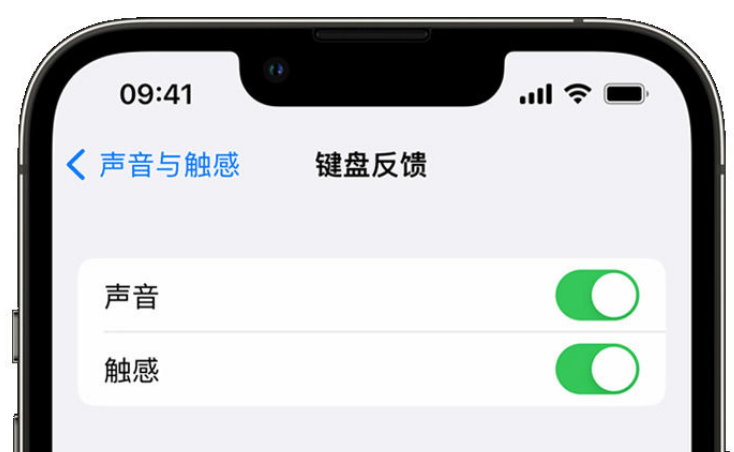 和平苹果手机维修分享iPhone 14触感键盘使用方法 