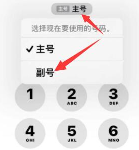 和平苹果14维修店分享iPhone 14 Pro Max使用副卡打电话的方法 