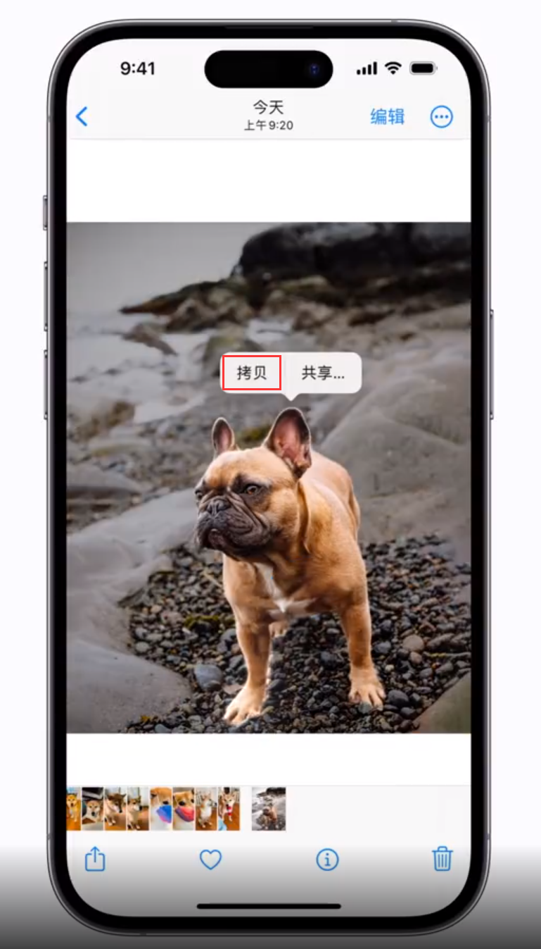 和平苹果手机维修分享 iOS 16 自带一键抠图功能 