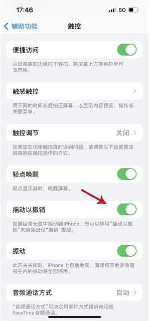 和平苹果手机维修分享iPhone手机如何设置摇一摇删除文字 