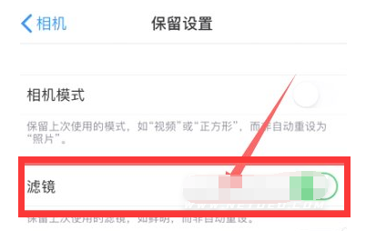 和平苹果13维修分享iPhone13拍照有绿点是怎么回事 