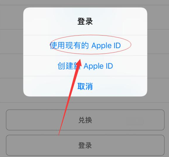 和平苹果手机维修分享两台iPhone设备可以同时登录一个Apple ID吗 